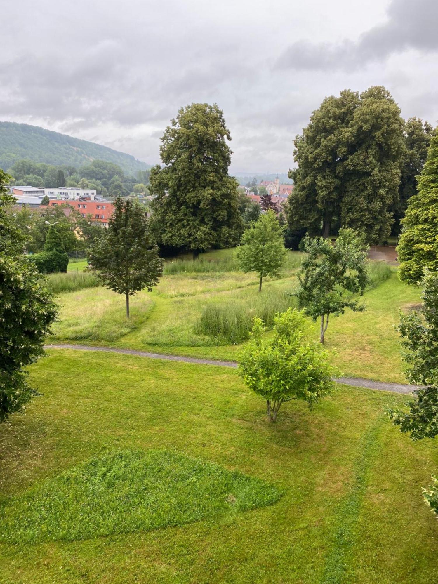 Einzimmer Apartment Niefern-Oeschelbronn Екстер'єр фото